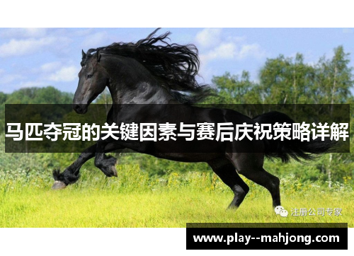 马匹夺冠的关键因素与赛后庆祝策略详解