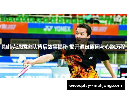 陶菲克退国家队背后故事揭秘 揭开退役原因与心路历程